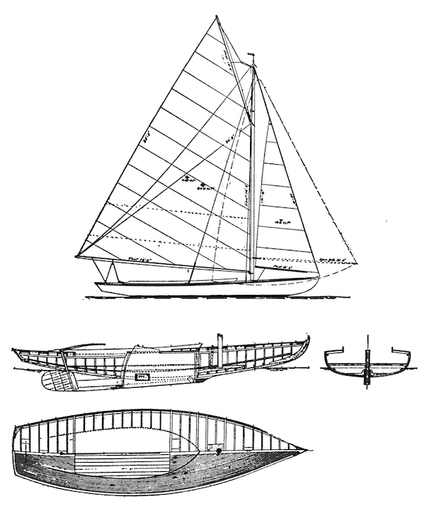 GREAT SOUTH BAY SHORE BIRD - Drawing
