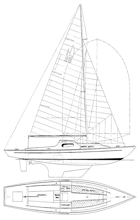 JUNIOR HOLIDAY 24 - Drawing