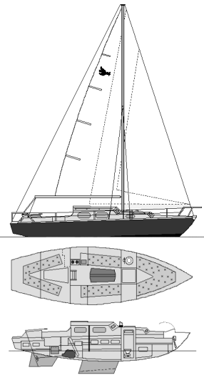 KINGFISHER 30 - Drawing