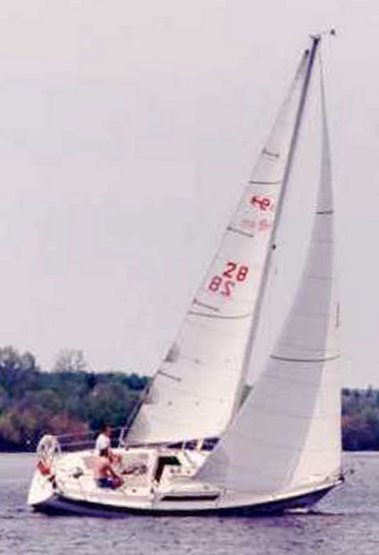 EDEL 820 - Photo