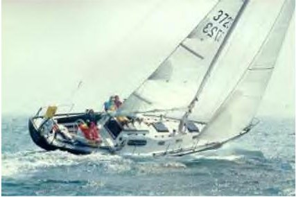 JAVELIN 38 (TRIPP) - Photo