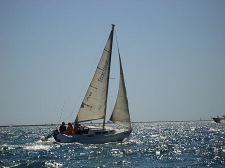 NEWPORT 20 - Photo
