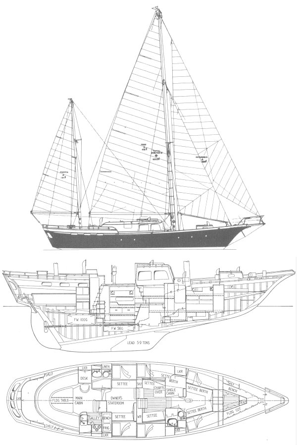 RADIANT 48 (ROBB) - Drawing
