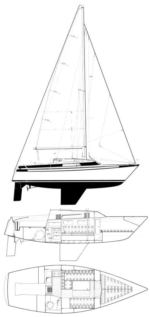 DUETTA 86 (DEHLER) - Drawing
