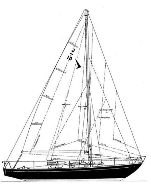 JAVELIN 38 (TRIPP) - Drawing
