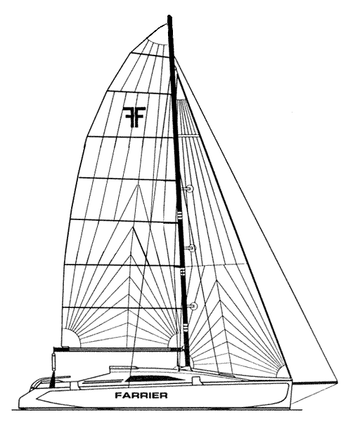 F-31 SPORT CRUISER - Drawing