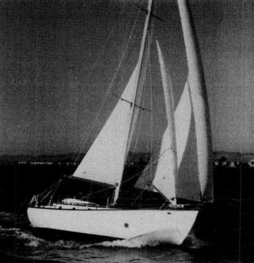 RAFIKI 37 - Photo