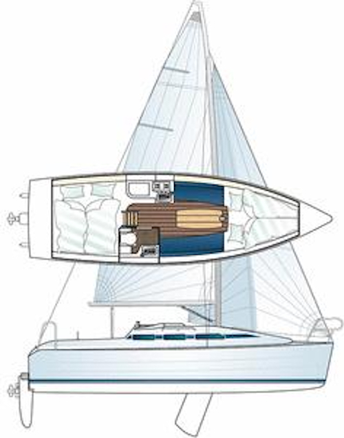 IMEXUS 28 - Drawing