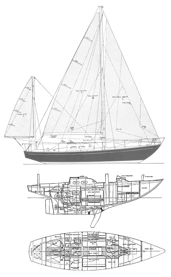 INVICTA (TRIPP) - Drawing