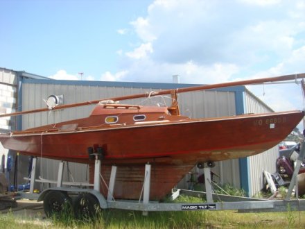 JUNO - Photo