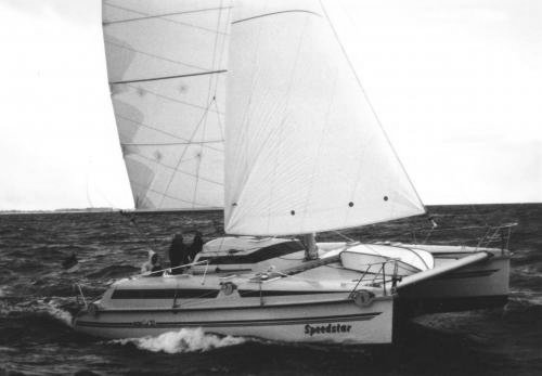 EDEL CAT 33 - Photo