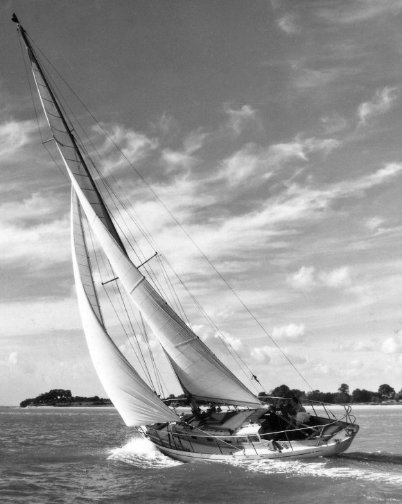 LION CLASS (ROBB) - Photo