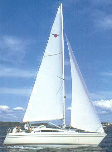 MAXI FENIX 8.5 - Photo