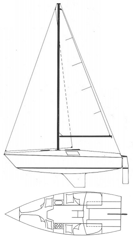 GREYHOUND 20 - Drawing