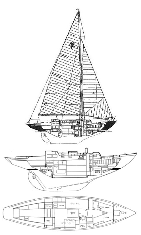 LION CLASS (ROBB) - Drawing