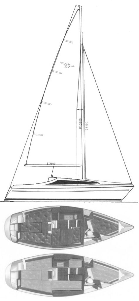 MAXI FENIX 8.5 - Drawing