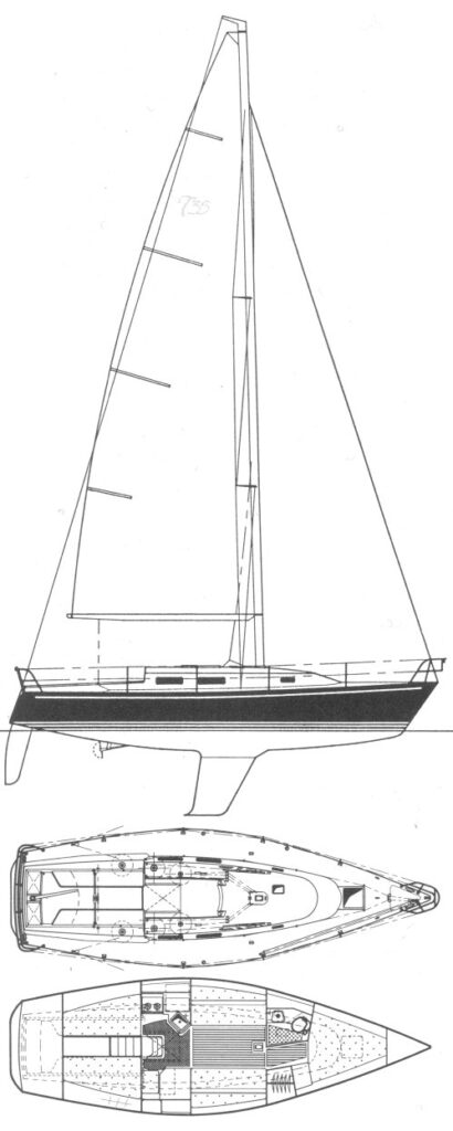 THOMAS 35 - Drawing