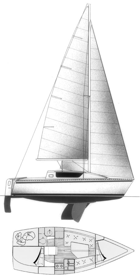 GIB'SEA 262 - Drawing