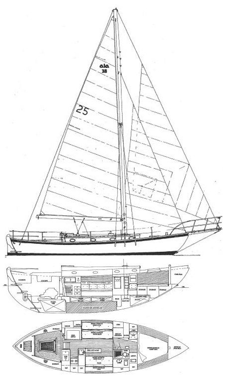 ALAJUELA 38 - Drawing