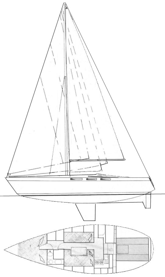 GREYHOUND 33 - Drawing