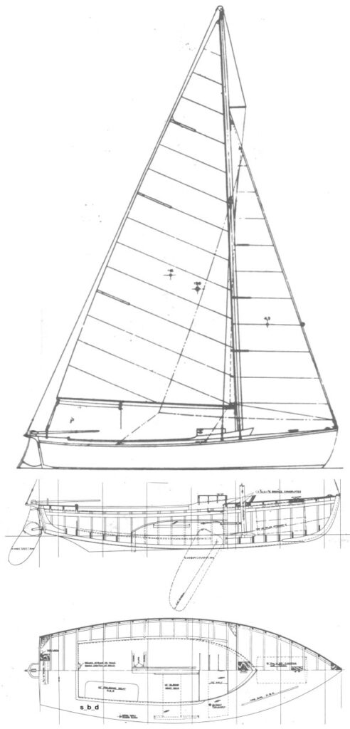 EDGARTOWN ROVER - Drawing