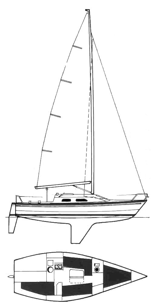 IMPALA 27 - Drawing