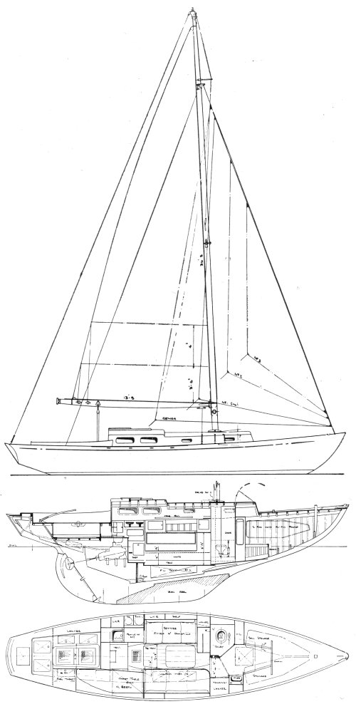 YEOMAN JUNIOR - Drawing