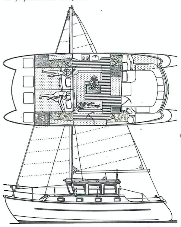 CATFISHER 32 MS - Drawing
