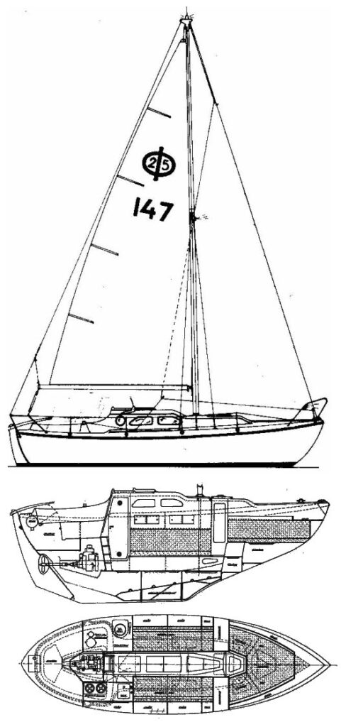 STORFIDRA 25 - Drawing