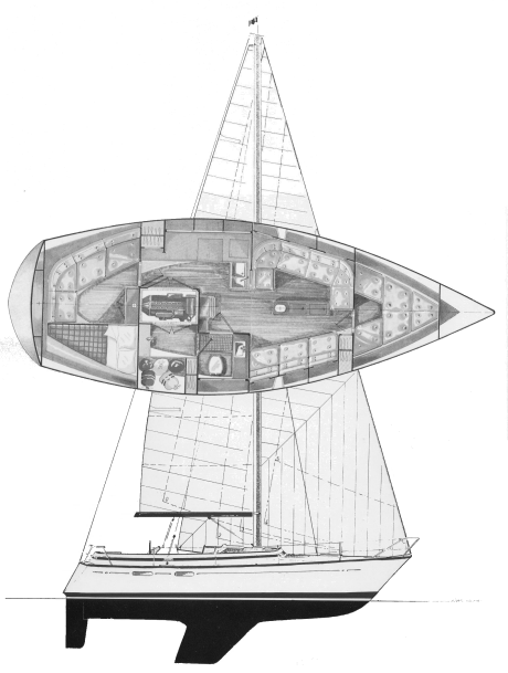 BOSTROM 37 - Drawing