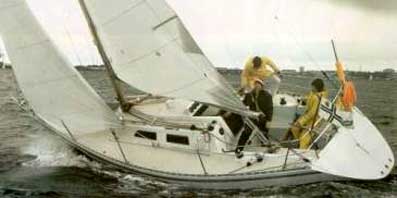 FINN FLYER 31 - Photo