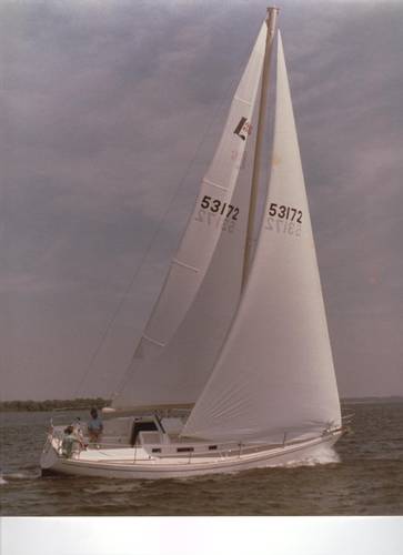 LIPPINCOTT 36 - Photo