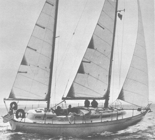 NORTH STAR 80/20 - Photo