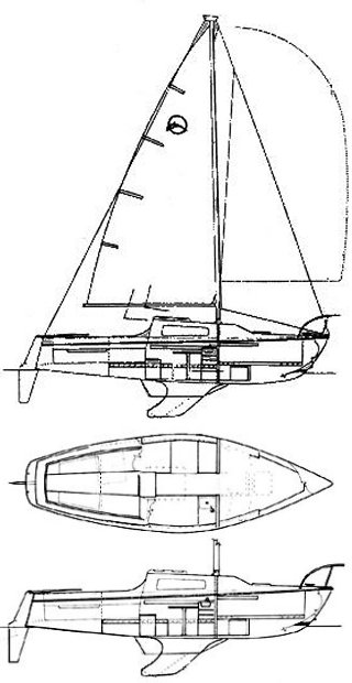 OLYMPIC DOLPHIN 23 - Drawing