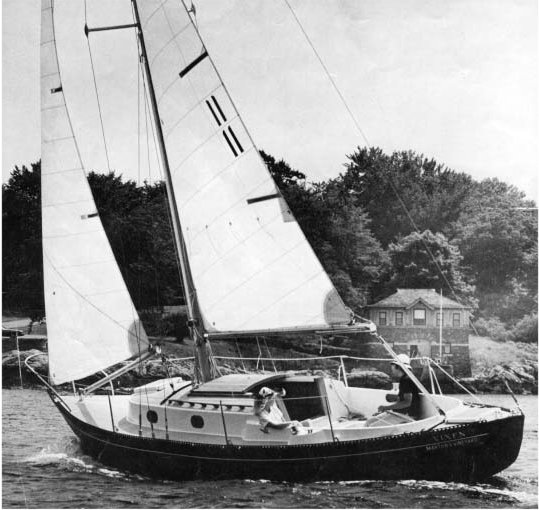 VINEYARD VIXEN 29