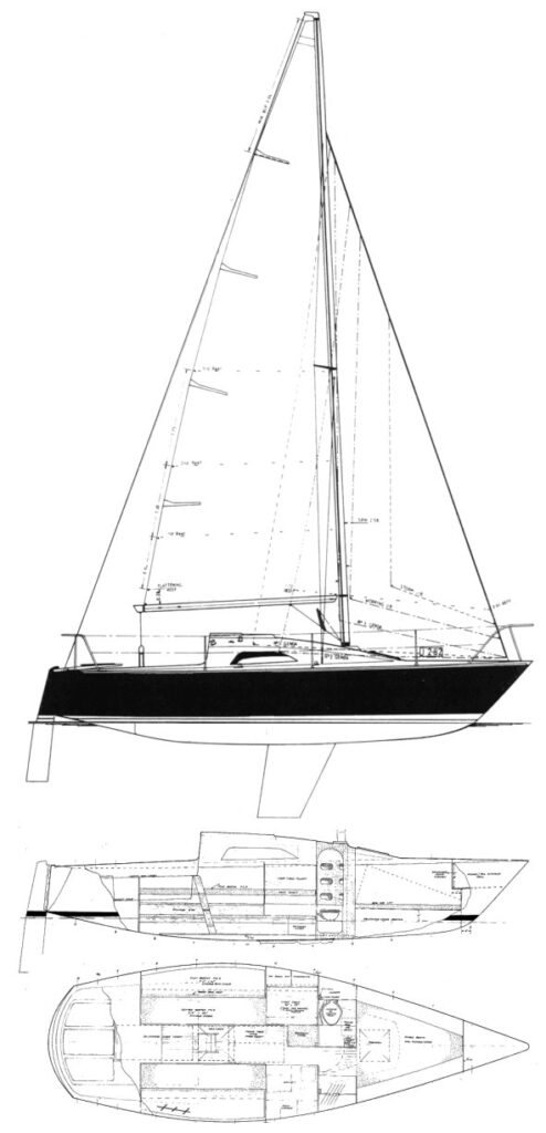 IMPALA 28 (THOMAS) - Drawing