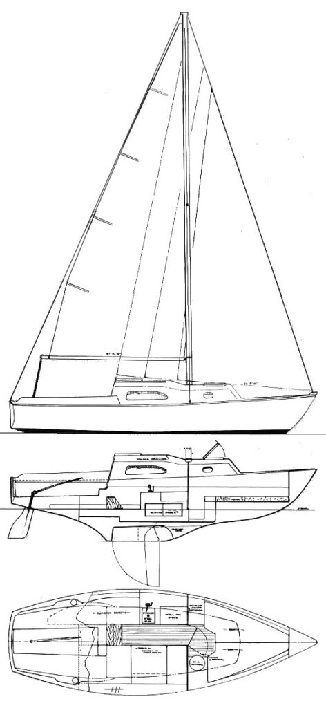 IRWIN 23 - Drawing