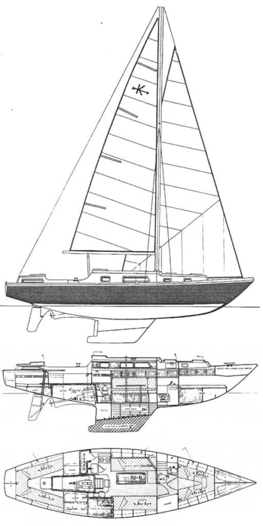KIRK 36 (AMEL) - Drawing