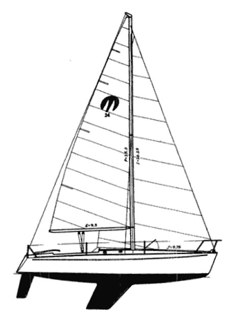 MOORE 24 - Drawing