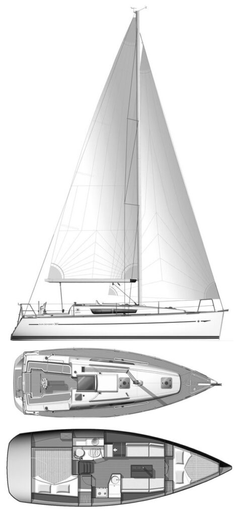 SUN ODYSSEY 33I (JEANNEAU) - Drawing
