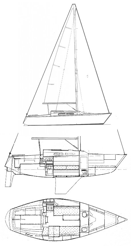 MALLARD 9M - Drawing