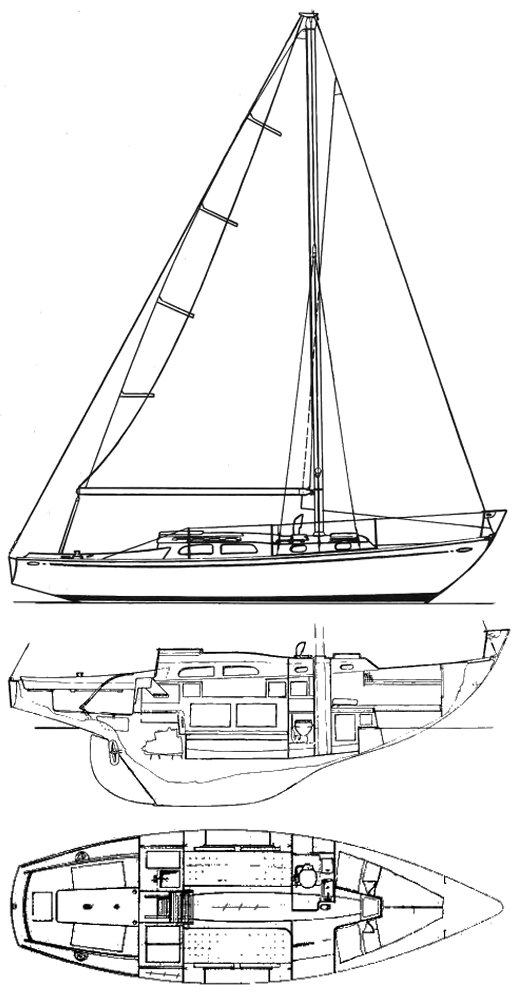 TRIPP LENTSCH 29 - Drawing