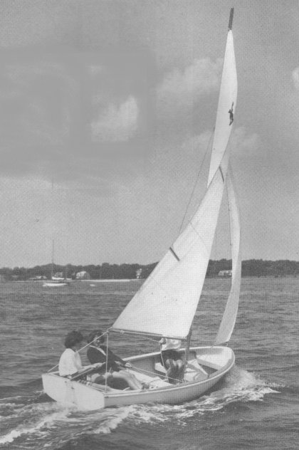 LITTLE BEAR (SAILSTAR) - Photo