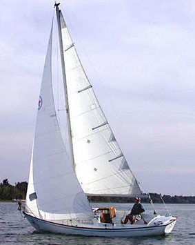 OLYMPIC STAR - Photo
