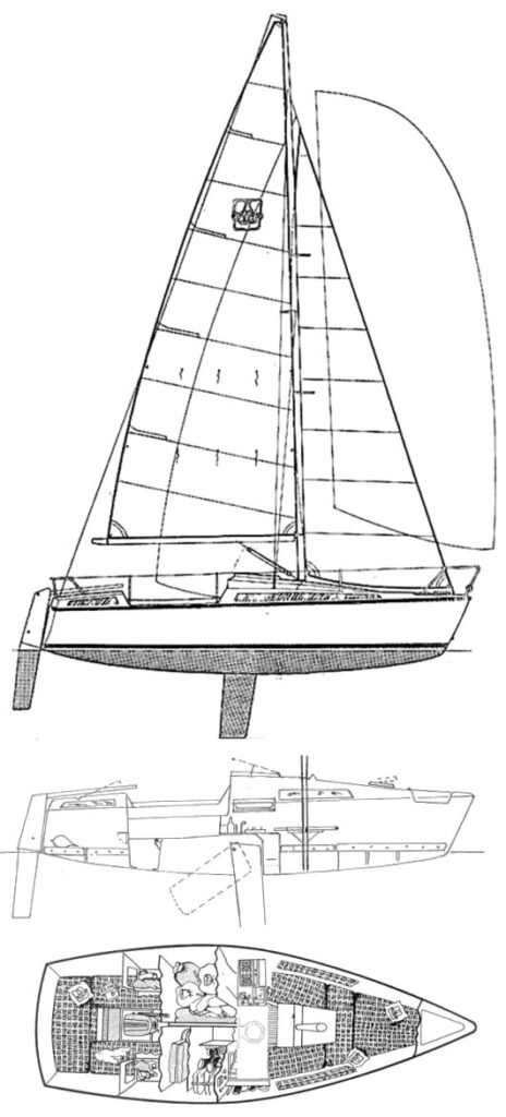 DUFOUR T7 - Drawing