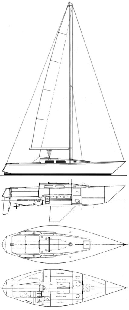 IMPALA 36 (PETERSON) - Drawing