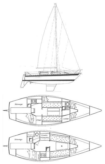 MIURA 31 - Drawing