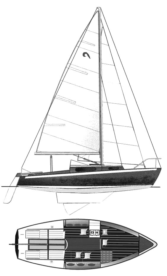 MOUSQUETAIRE - Drawing
