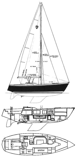 COLUMBIA 39 - Drawing