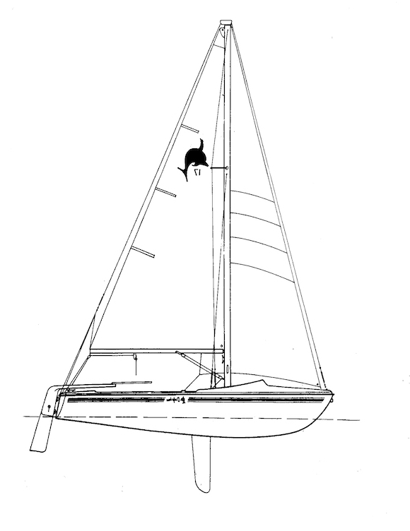 DOLPHIN 17 - Drawing